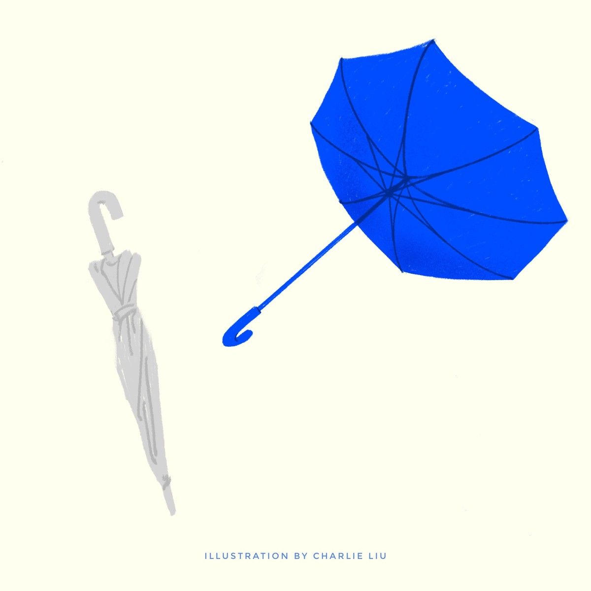 If an umbrella had one adventure, where would it go?